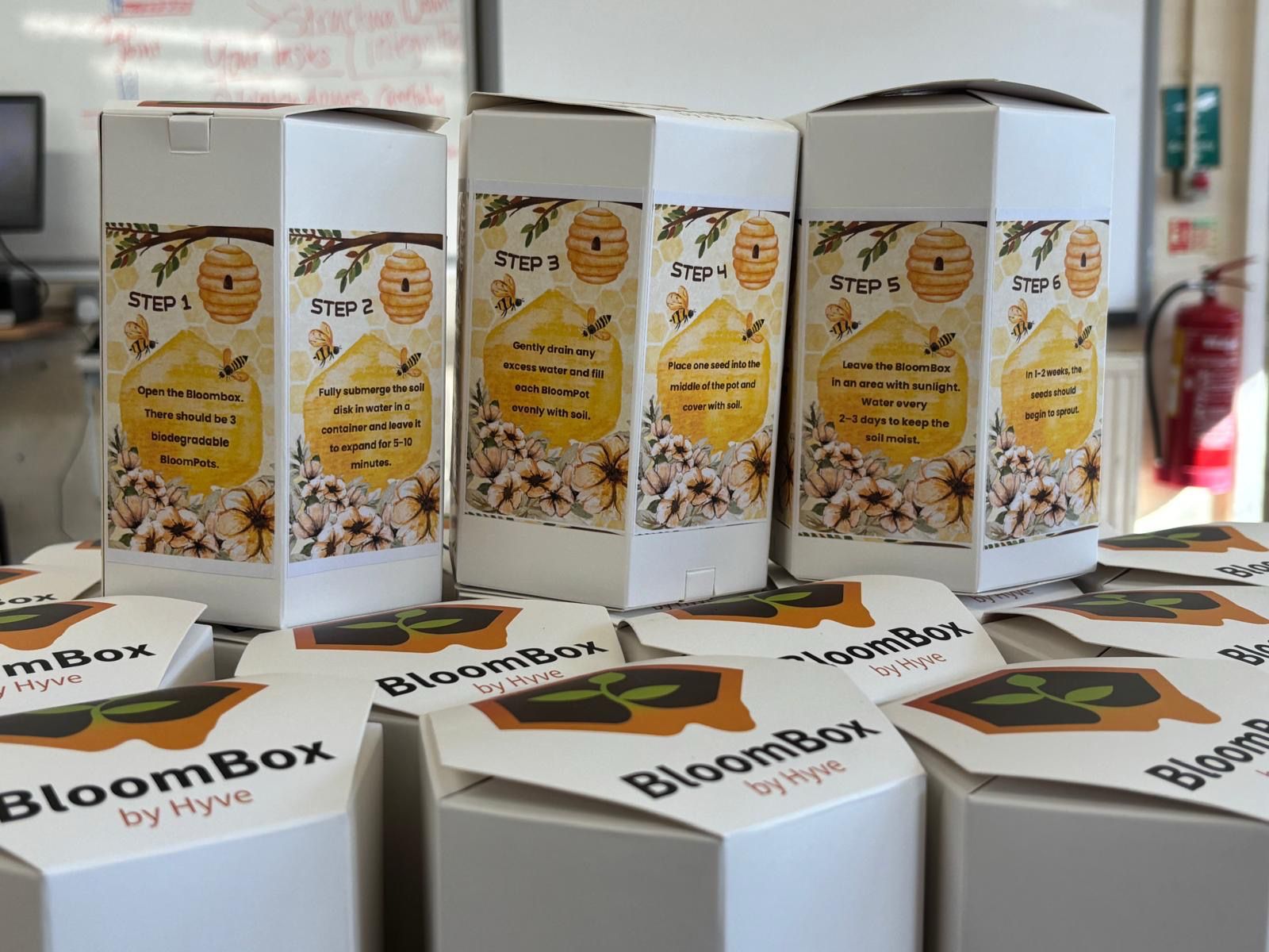 Bloombox illustration