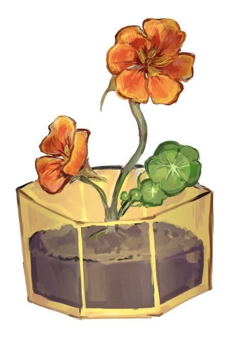 Sunflower Bloombox